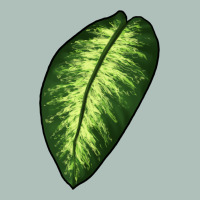 Dumb Cane Leaf Heavyweight Hoodie | Teevron