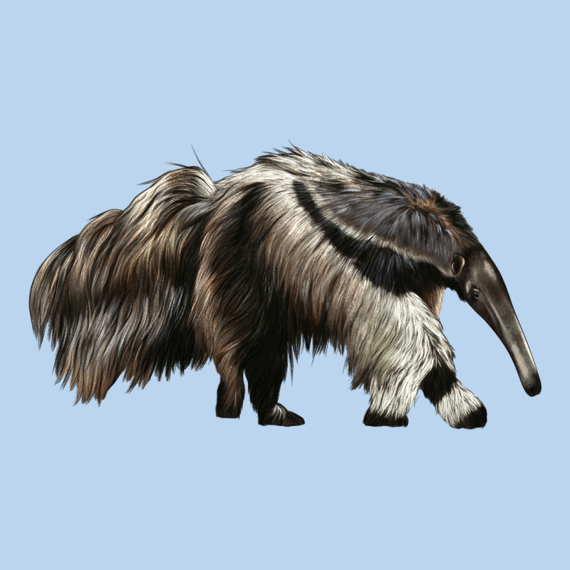 Anteaters Classic Tee by LillyAllenDesigns | Teevron