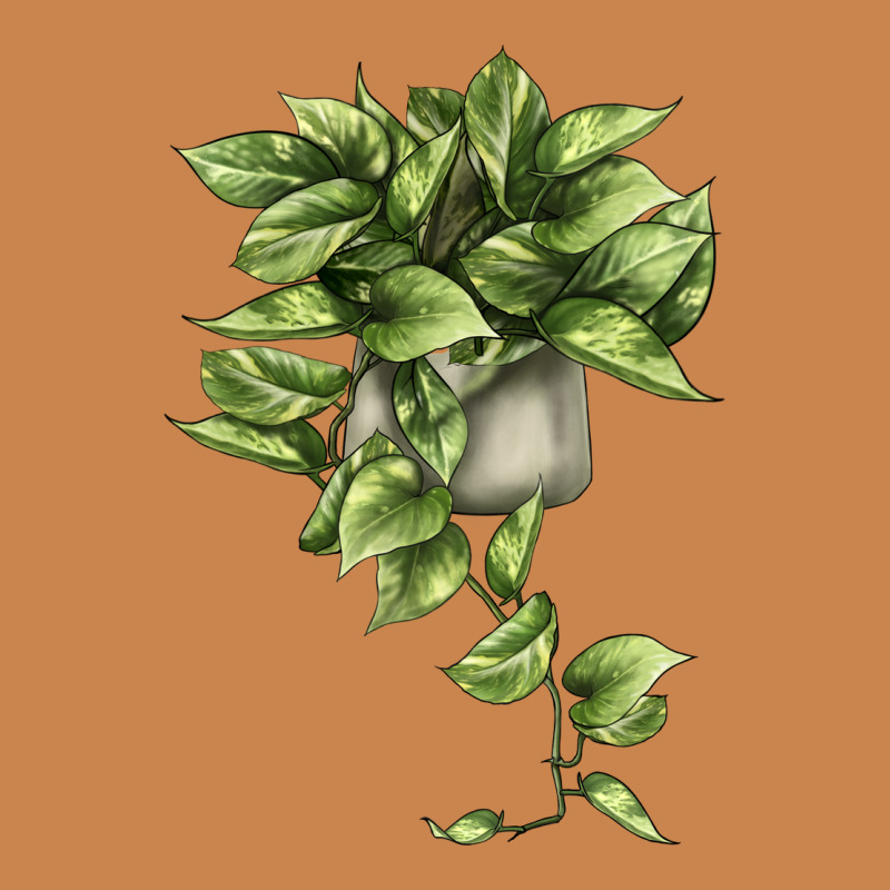 Golden Pothos Heavyweight Hoodie by LillyAllenDesigns | Teevron