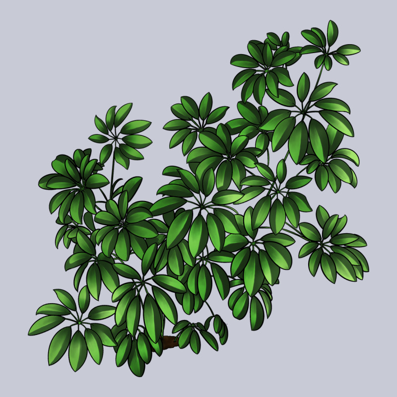 Botanical Schefflera Illustrations Heavyweight Hoodie by LillyAllenDesigns | Teevron