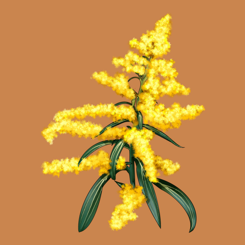 Botanical Goldenrod Illustrations Heavyweight Hoodie by LillyAllenDesigns | Teevron