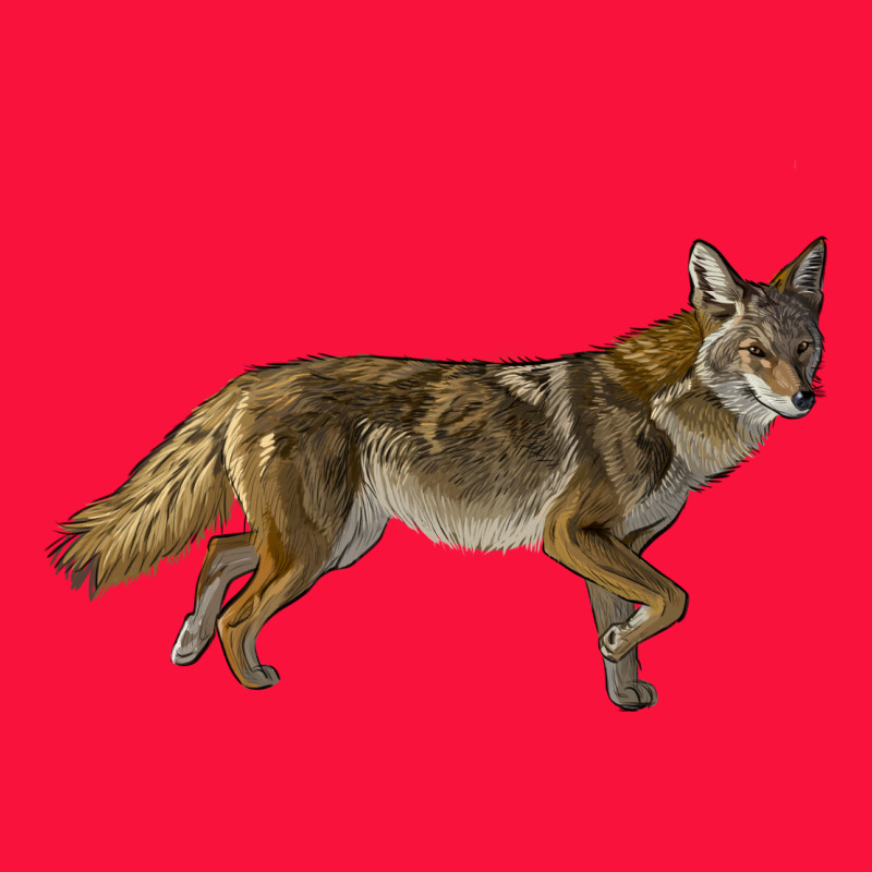 Coyote Classic Tee by LillyAllenDesigns | Teevron