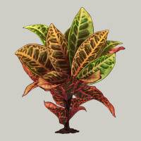 Croton Heavyweight Hoodie | Teevron
