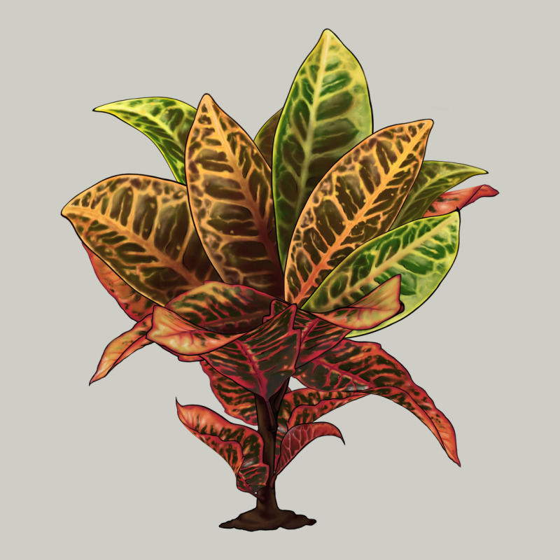 Croton Heavyweight Hoodie by LillyAllenDesigns | Teevron