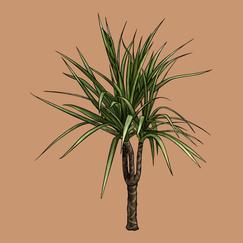 Dracaena Marginata Heavyweight Hoodie by LillyAllenDesigns | Teevron