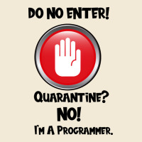 I'm Not In Quarantine I'm A Programmer Premium Hoodie | Teevron