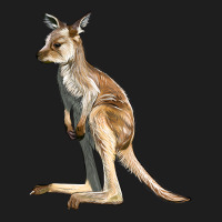 Baby Kangaroo Classic Tee | Teevron