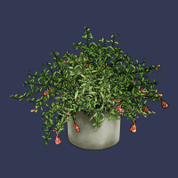 Dwarf Pomegranate Tree Illustrations Heavyweight Hoodie | Teevron