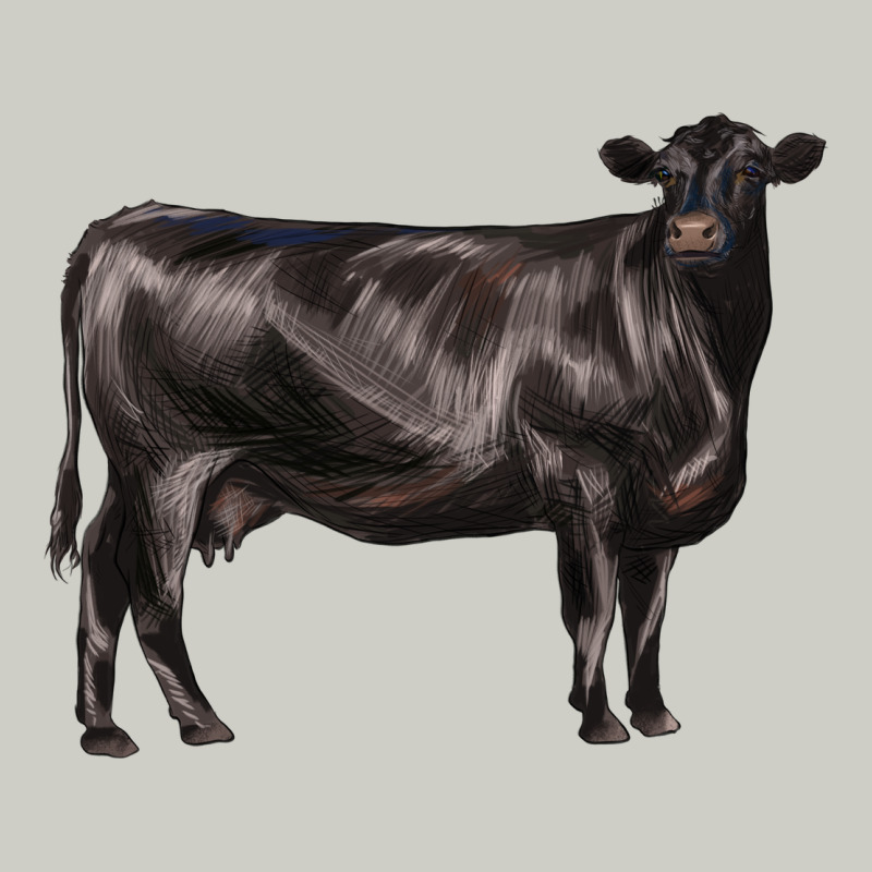 Black Angus Cow Heavyweight Hoodie by LillyAllenDesigns | Teevron