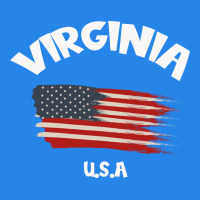 Virginia U.s.a Premium Hoodie | Teevron
