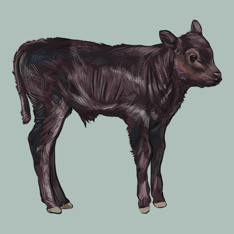 Black Angus Calf Illustrations Heavyweight Hoodie by LillyAllenDesigns | Teevron