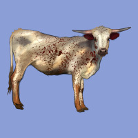 Texas Longhorn Heifer Long Sleeve Tee | Teevron