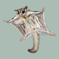 Sugar Glider Classic Tee | Teevron