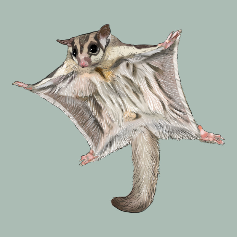 Sugar Glider Classic Tee by LillyAllenDesigns | Teevron