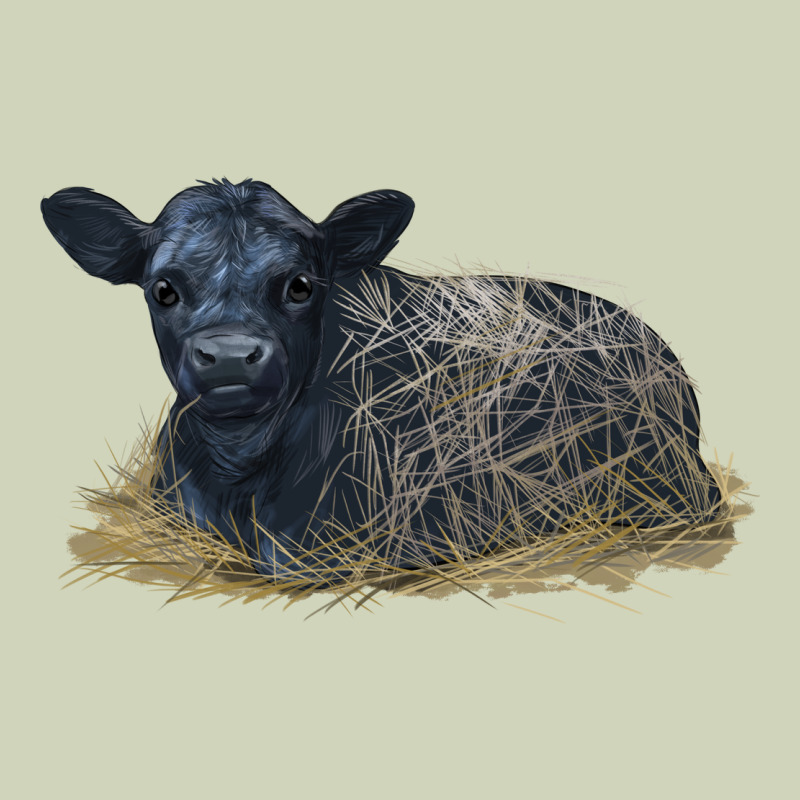 Black Angus Calf Illustrations Heavyweight Hoodie by LillyAllenDesigns | Teevron