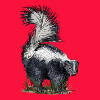 Skunk Classic Tee | Teevron