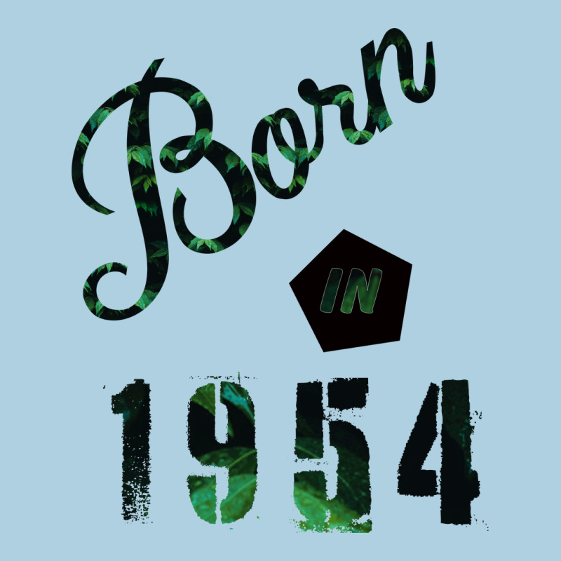 Born In 1954 Premium Hoodie by Bettercallsaul | Teevron