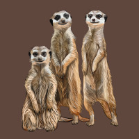 3 Meerkat Classic Tee | Teevron