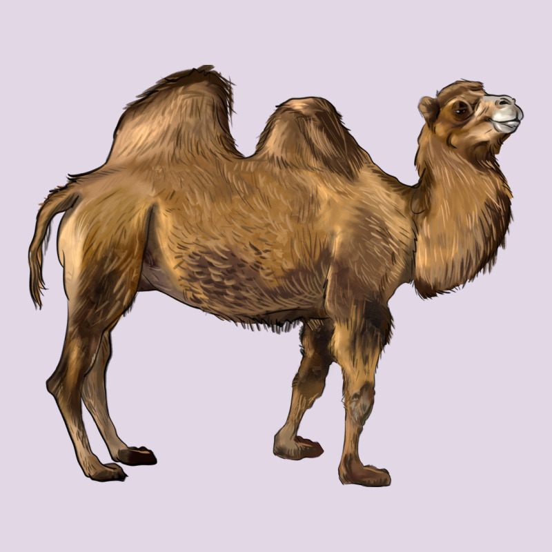 Camel Classic Tee by LillyAllenDesigns | Teevron