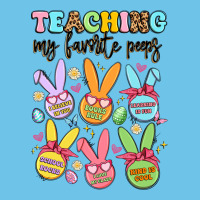 Teaching My Favorite Peeps Premium Sweatshirt | Teevron