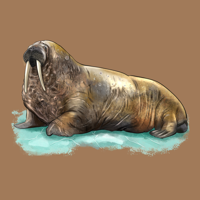 Walrus Classic Tee by LillyAllenDesigns | Teevron