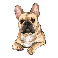 French bulldog sitting | Teevron