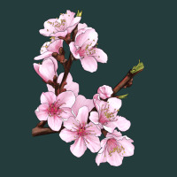 Peach Blossom Classic Tee | Teevron