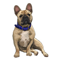 French bulldog with royal blue | Teevron