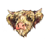 scottish cow | Teevron