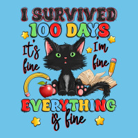 I Survived 100 Days It's Fine I'm Fine Premium Sweatshirt | Teevron