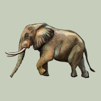 Elephant Long Sleeve Tee | Teevron