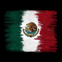 Mexican Flag Ladies Tee | Teevron