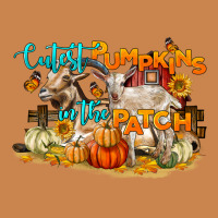 Cutest Pumpkin In The Patch Heavyweight Hoodie | Teevron