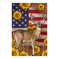 Western American Deer | Teevron