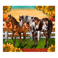 Western Ranch Horses | Teevron