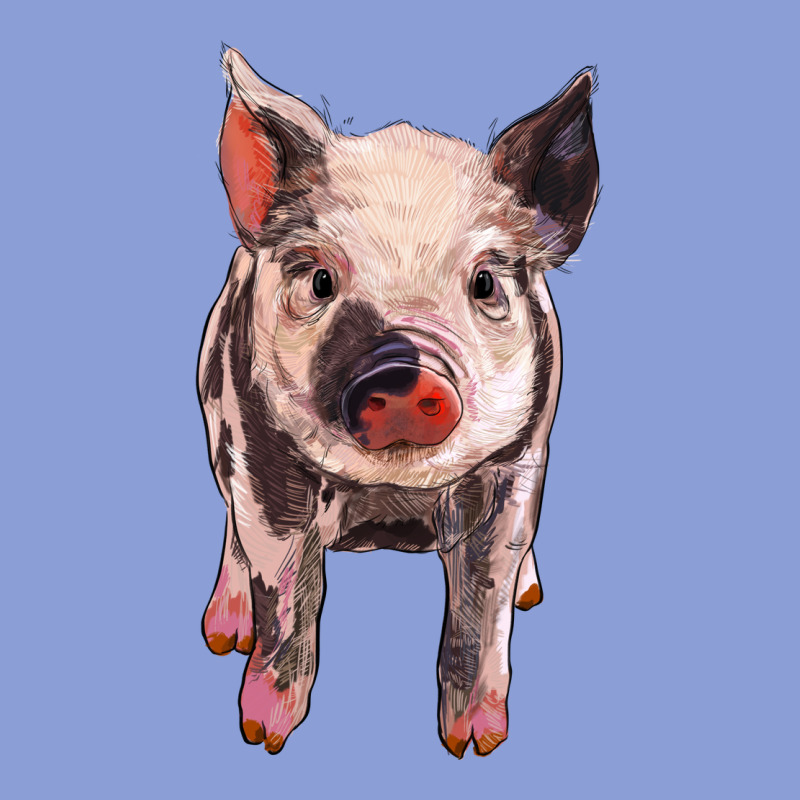 Pig Long Sleeve Tee by BarkalooDesign | Teevron
