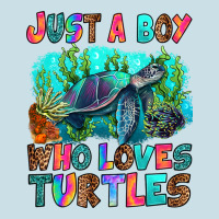 Just A Boy Who Loves Turtles Ladies Tee | Teevron