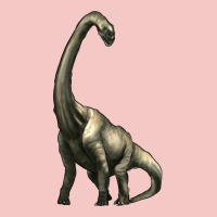 Brachiosaurus Urban Heavy Tee | Teevron