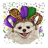 Mardi Gras White Pomeranian with Hat | Teevron