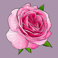 All Dressed Up Rose Heavyweight Hoodie | Teevron