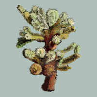 Cholla Tree Cactus Heavyweight Hoodie | Teevron