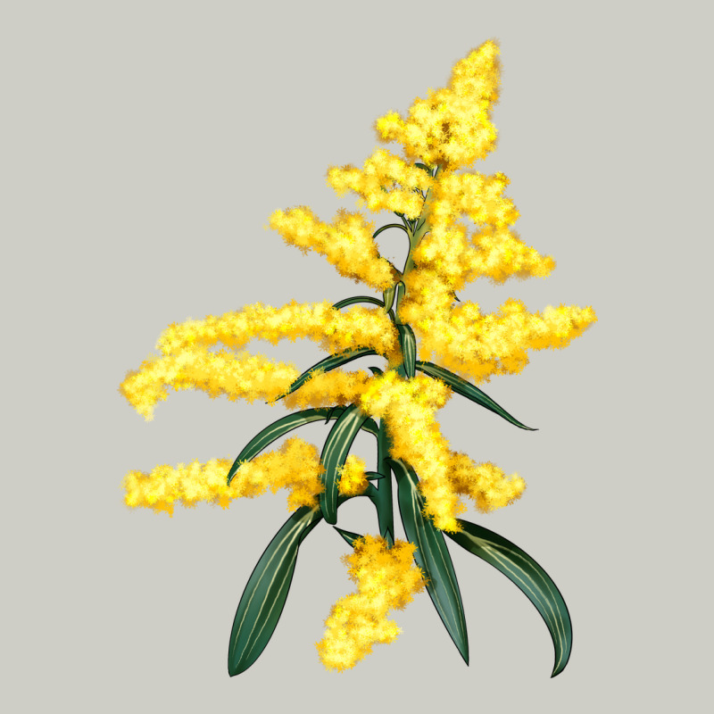 Botanical Goldenrod Heavyweight Hoodie by LillyAllenDesigns | Teevron