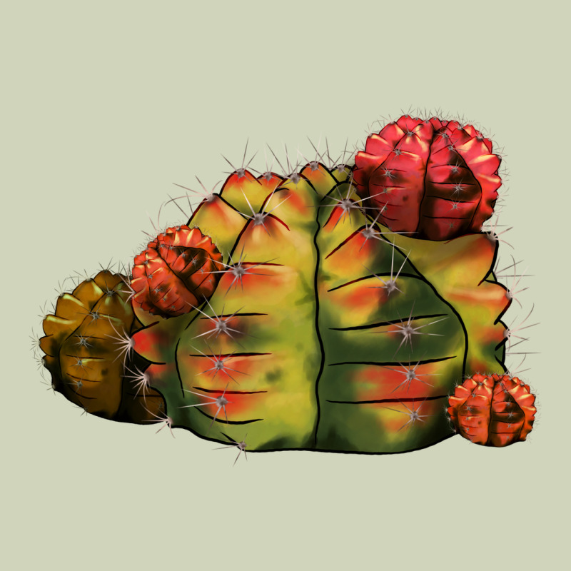 Gymnocalycium Variegated Cactus Heavyweight Hoodie by LillyAllenDesigns | Teevron