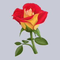 Ketchup And Mustard Rose Heavyweight Hoodie | Teevron