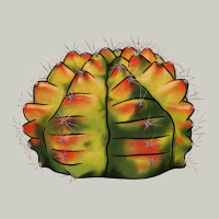 Gymnocalycium Variegated Cactus Heavyweight Hoodie | Teevron