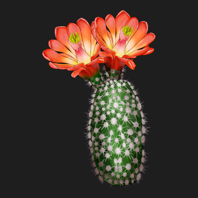 King Cup Cactus Heavyweight Hoodie by LillyAllenDesigns | Teevron