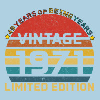 Vintage 1971 Limited Premium Hoodie | Teevron