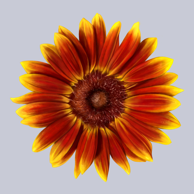 Little Becka Sunflower Heavyweight Hoodie by LillyAllenDesigns | Teevron