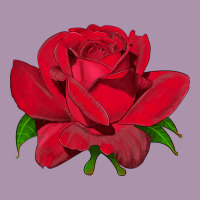 Oklahoma Rose Illustrations Heavyweight Hoodie | Teevron