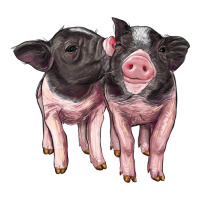 cute baby pigs | Teevron